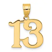 14k Yellow Gold Polished Number 13 Pendant