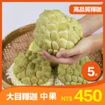 【果樂釋迦專賣】大目釋迦中果/5斤一盒 台東  太麻里 釋迦 台東 禮盒 水果