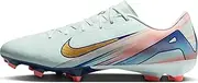 [Nike] Vapor 16 Academy Mercurial Dream Speed MG Low-Top Soccer Cleats (FZ1388-300, Barely Green/Crimson Pulse/Metallic Gold Coin)