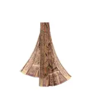 Etro Placed Printed Satin Scarf One size color