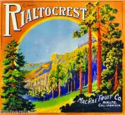 Rialto San Bernardino Rialtocrest Orange Citrus Fruit Crate box Label Art Print