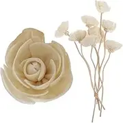 9Pcs Fireless Aroma Flowers Diffuser Sticks Replaceable Dried Flower Rods for Home Fragrance and Essential Oil Diffusers Elegant Aromatherapy Decor for Car Office and Living
