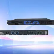 CA 450 2 Channel 1800W Digital Power Amplifier 2x900watt Class-D Bridge Function