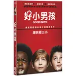 合友唱片 好小男孩 GOOD BOYS (2019) (DVD)