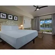 Disney's Saratoga Springs Resort & Spa