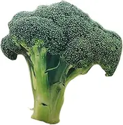 Vegetable Plush Toy Doll Soft Toy Realistic Vegetables for Children and Cuddly Toy Lovers Gift (50 cm, Broccoli)