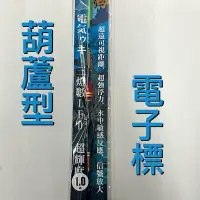 在飛比找蝦皮購物優惠-匠海釣具：許董特製 葫蘆型 電子浮標 夜跳標 夜光