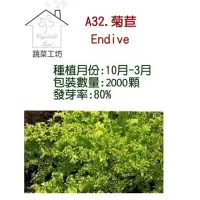 在飛比找momo購物網優惠-【蔬菜工坊】A32.菊苣種子(日本進口苦苣)