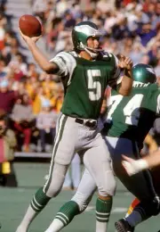 Quarterback Roman Gabriel Philadelphia Eagles drops back to pass - 1974 Photo 18