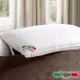 【Raphael 拉斐爾】五星級飯店專用羽絲絨枕(1入)