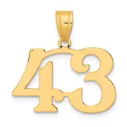 14k Yellow Gold Polished Number 43 Pendant