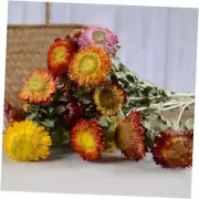 Natural Dried Flower Bouquet, Natural Flower Bouquet Daisy. Dried Daisies,