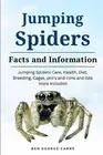 Jumping Spider: Jumping spiders care, health, diet, breeding, cages, pro's and c