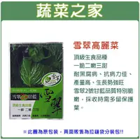 在飛比找蝦皮購物優惠-【蔬菜之家滿額免運】大包裝.雪翠高麗菜種子55顆 高麗菜 種