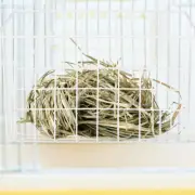 Rabbit Hay Rack Hanging Small Animal Feeder for Rabbits Guinea Pig Cage