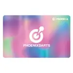 {台中BRUNS飛鏢用品專賣店} 鳳凰卡,PHOENIX卡.PHOENIX CARD,鳳凰飛鏢機台