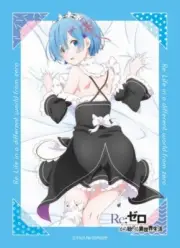 Broccoli Character Sleeve Re:ZERO -Starting Life in Another World- "Rem" Pack