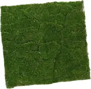 Artificial Moss Turf Decorative Grass Mat Soft for Outdoor Indoor Craft Use