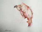 Vulture, Birds, Watercolor artwork, Handmade, Original painting on paper