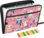 Valentine's Day Owls Lovely Peach Expanding File Folders 13 Pockets A4 Letter Size Organizer Folder with Zipper Closure Document File Folder for Document Storage