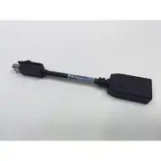 HP Mini DisplayPort to DisplayPort Male Adapter, 703216-001
