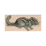 Mounted Rubber Stamp, Chipmunk Stamp, Eastern Chipmunk Stamp, Rodent Stamp
