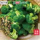 休閒食代冷凍青花菜400G /包【愛買冷凍】