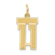 14k Yellow Gold 14k Small Satin Number 11 Charm