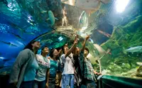 在飛比找KLOOK 客路優惠-關島水族館門票