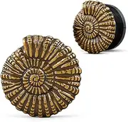 [COOEAR] Screw Back Ear Tunnel and Plug, Snail Gauges for Earrings, 1 Pair Expander Stretchers.