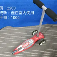 在飛比找蝦皮購物優惠-Radio Flyer 蜜袋鼯三輪滑板車