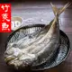 南海豐【薄鹽竹筴魚一夜干】300g上/尾 魚脂香甜風味迷人，香烤香煎超讚，海上先生嚴選海鮮食材宅配