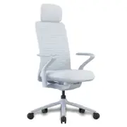 Desky Pro Ergonomic Mesh Chair - Soft White / Headrest