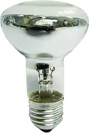 Nelson Halogen Globe R63