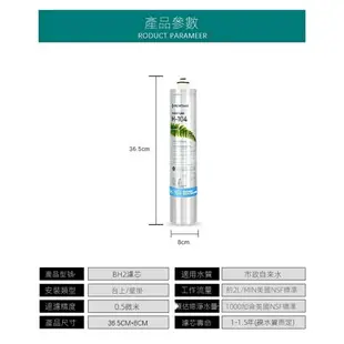 APP下單享點數9%｜美國進口濱特爾 EVERPURE愛惠浦 主濾芯H-100 H-104淨水器EV961116芯子