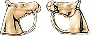 Horse Head Earrings 22 Carat