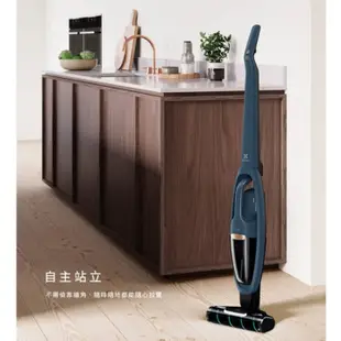 Electrolux 伊萊克斯 WQ61-1EDBF Well Q6 無線吸塵器