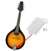Mandolin Tailpiece with Mounting Screws Direct Replaces for Tailpiece Parts