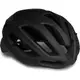 KASK PROTONE ICON_消光黑_自行車安全帽