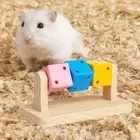 Hamster Cage Toy Sport Exercise Toy Chew Cube for Mouse Rabbit Chinchilla