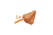 Archie McPhee Nose Pencil Sharpener