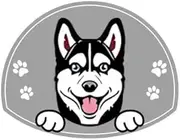 Personalized Stainless Steel Dog ID Tag Name Plate Anti-Lost Pet Name Tag Pendant Custom Engraved Cat and Dog Nameplate Label Pet Collar Supplies Accessories,Siberian Husky,Sliver