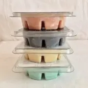 Partylite Scent Plus Melts Wax - Fresh Home, Peony, Tempt - New, Sealed, Retired