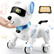 Robot Dog Toys for Kids 8 9 10 11 12, Remote Control Dogs, Robot Dog for Kids 8-