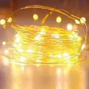Teemyaa 10M 100LED Fairy Lights, LED Silvery Copper String Lights Battery Powered, Indoor Waterproof Twinkle Lights for Bedroom Wedding Party Christmas Decor, Warm White
