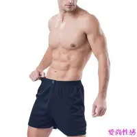 在飛比找Yahoo!奇摩拍賣優惠-Hang Ten 極度排汗平口男內褲(M~XL) 四角褲 透