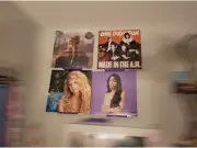 Heavy-Duty Clear Rainbow PLA Record Display Rack - Shelves for Vinyl Enthusiasts