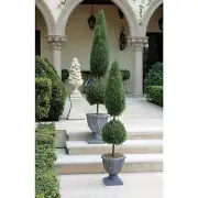 Design Toscano Classic Topiary Tree Collection: Small