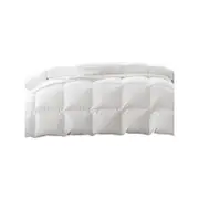 DreamZ Duck Down Feather Quilt 200GSM Duvet Doona Summer Queen Blanket Bed