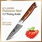 Full Tang Paring Knife 67 Layers Damascus Steel Wood Handle Fruit Slice Peeling